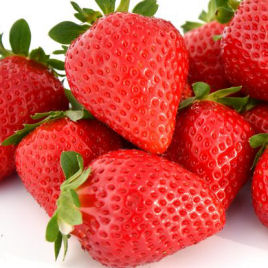 Fresas 'Favori'